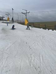 417595818_936267897911582_8128526647710373077_n