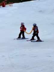 428169057_1445361346332853_4979716397451576885_n