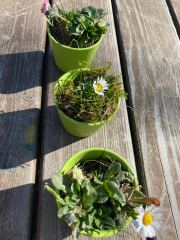 275782161_5549550515058324_3212366094758792761_n