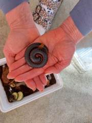 333603163_247511051167874_3532318262973591569_n