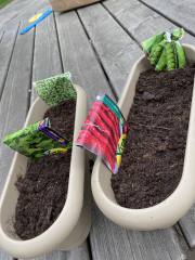 340238686_961029211991794_9129391693289598698_n