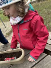 340253106_798619148111130_7489200323200092021_n