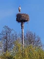 340413632_3552627558353922_2091834872248787201_n