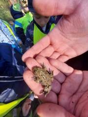 341139396_5473069976128126_4474859182126716304_n