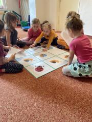 438083547_802331154730476_6551257154781119412_n