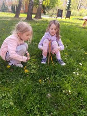 IMG_20260424_113009