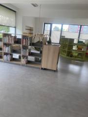 441191817_1392772261308312_6591069117239987175_n