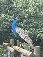 447475822_864986835444915_4970564967003579165_n