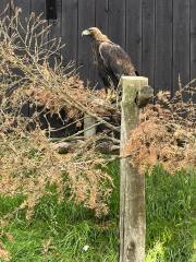 438102078_1606329653478567_1958509628868928750_n