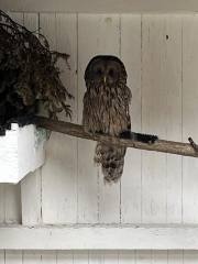 438115885_666577278983377_2518354983589372976_n