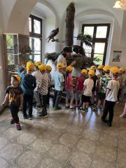 438171807_780205794308664_5932856146472180909_n