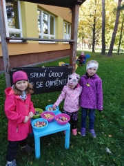 310592452_405486845104436_6217178690743284445_n