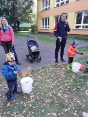 310646885_442484627760334_6432627457469561301_n