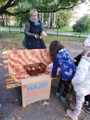 310690621_623154376122322_6089760983546964901_n