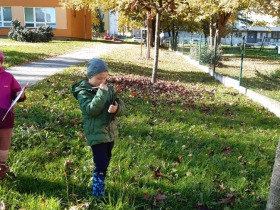 10/2025 - DEN STROMŮ V EKOKLUBÍKU