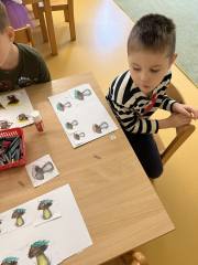 404142001_3454700981508754_4396624976400012363_n-kopie