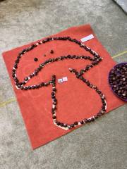 404402135_2629440540547993_2558556777064339375_n