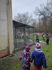 393124801_2745978895540237_8071395926165674004_n