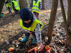 LESNÍ DOBRODRUŽSTVÍ U KRMELCE  11/2025