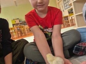 Líhneme ve školce 