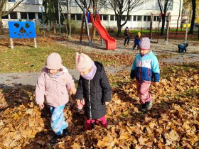 MEDVÍDCI NA ZAHRADĚ 11/2025