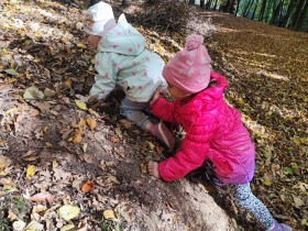 MEDVÍDCI V LESE 10/2025