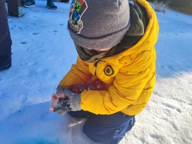 ZA POLÁRNÍM KRUHEM  1/2026